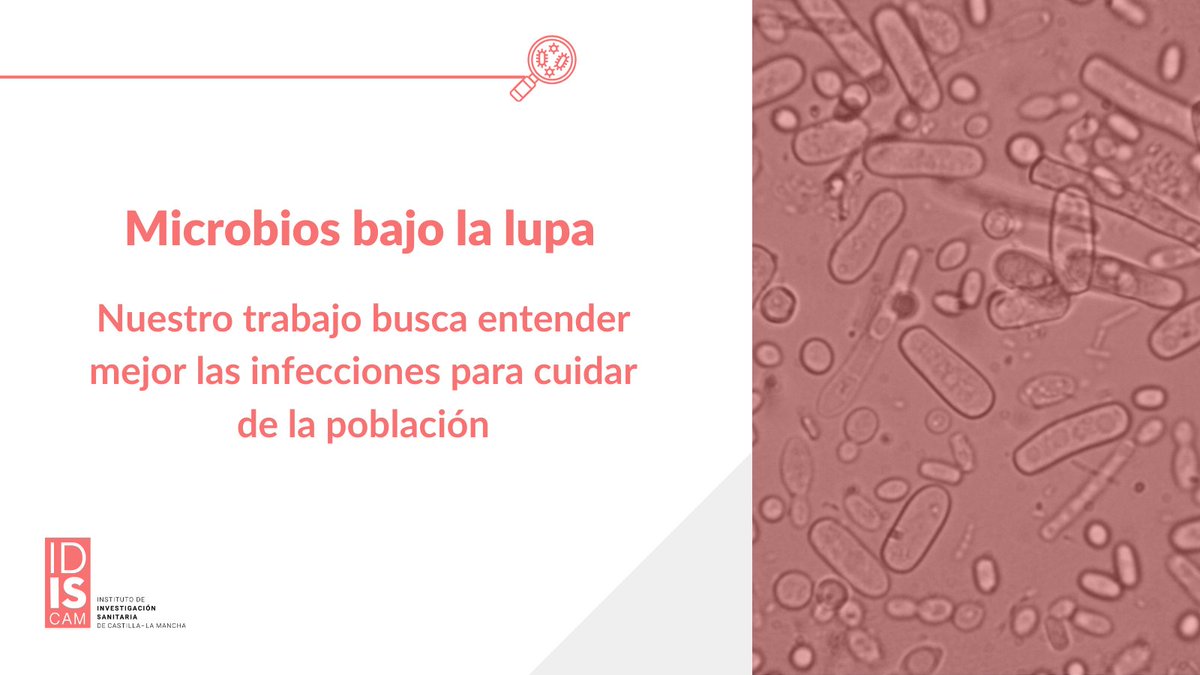 idiscam's tweet image. 🔬 En #MICROPRINT analizamos infecciones clínicas para mejorar el diagnóstico, la prevención y el tratamiento de enfermedades infecciosas

idiscam.es/investigacion/…