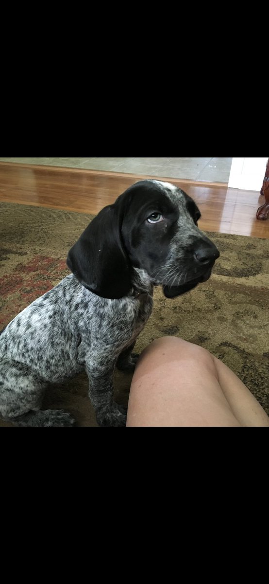 MtnGirlbarefootGardening tweet media