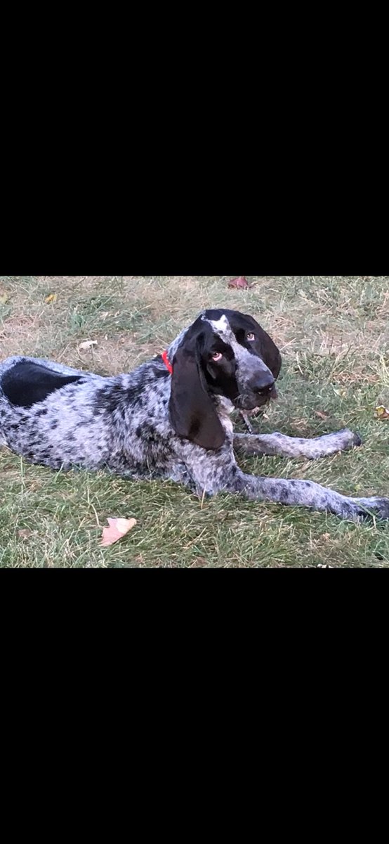 MtnGirlbarefootGardening tweet media