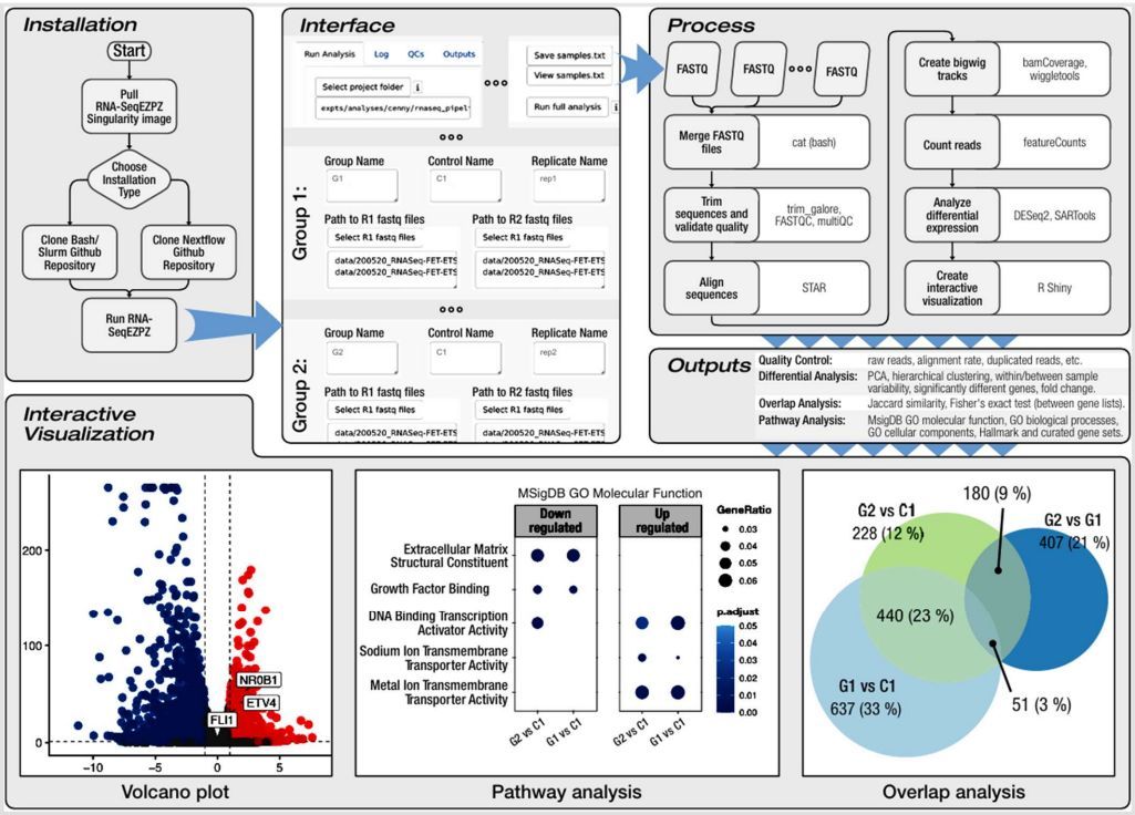 jsantoyo's tweet image. RNA-SeqEZPZ: A Point-and-Click Pipeline for Comprehensive Transcriptomics Analysis with Interactive Visualizations. #RNAseq #DataAnalysis #TranscriptomicsAnalysis #Visualization #Genomics #Bioinformatics @GigaScience
academic.oup.com/gigascience/ad…