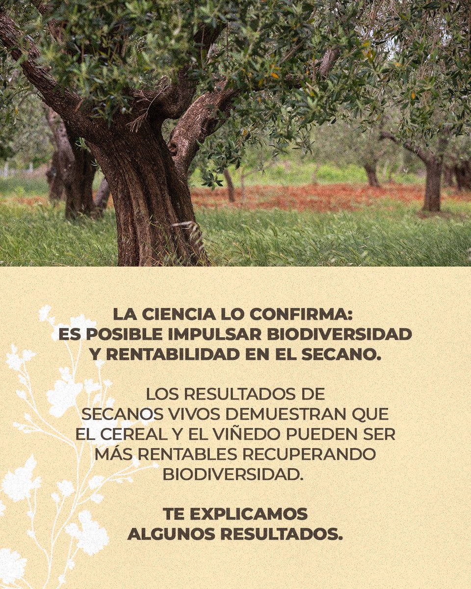 SEO_BirdLife's tweet photo. Hoy hemos presentado los resultados de #SecanosVivos, que demuestran que es posible una producción rentable respetando sus hábitats y desarrollando biodiversidad. https://t.co/EYbSMzGuci