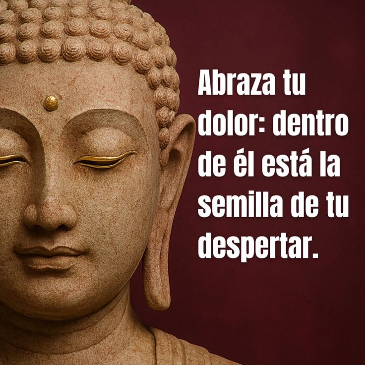 Namaste_Mandala's tweet image. 