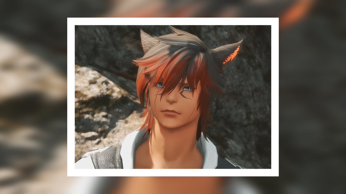 Turlybear's tweet image. All my cat eras from the beginning to the present 😆