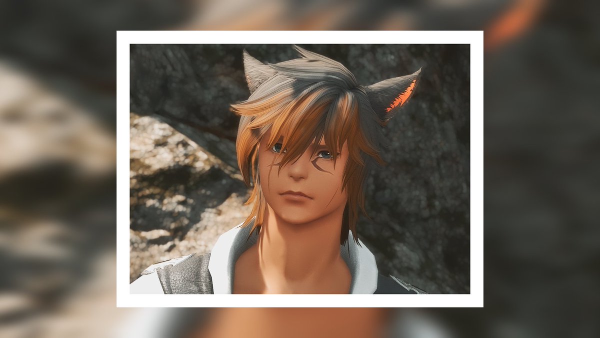 Turlybear's tweet image. All my cat eras from the beginning to the present 😆