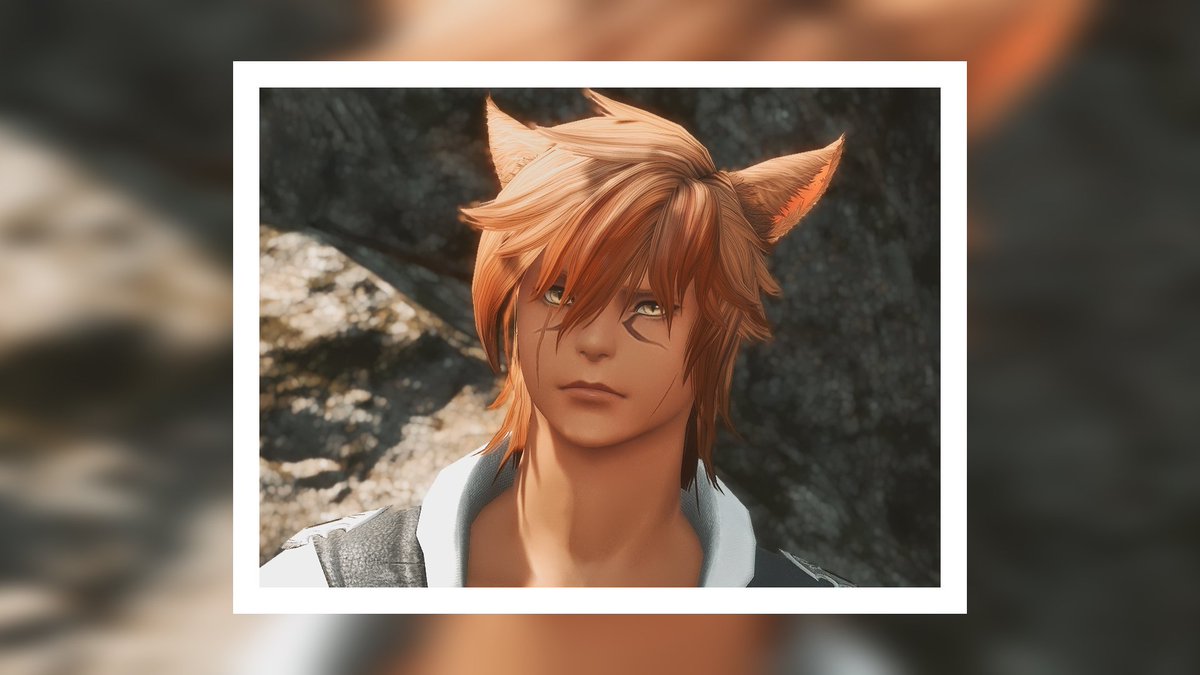 Turlybear's tweet image. All my cat eras from the beginning to the present 😆