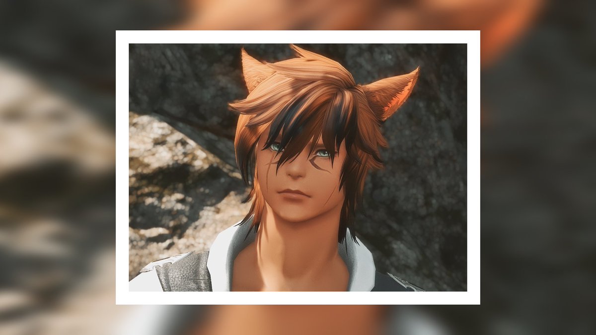 Turlybear's tweet image. All my cat eras from the beginning to the present 😆