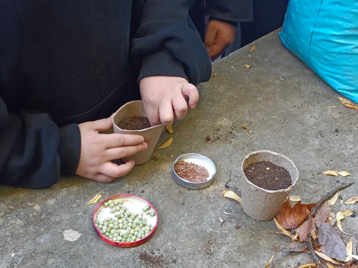 Navdanya International tweet media