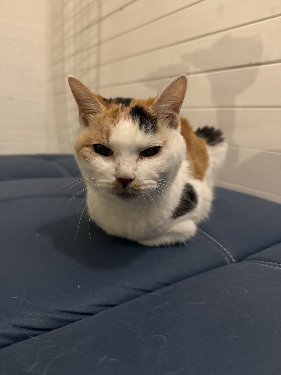 ドアがまだついていないので寒い。 そろそろ階下に戻りませんか？ はぁ