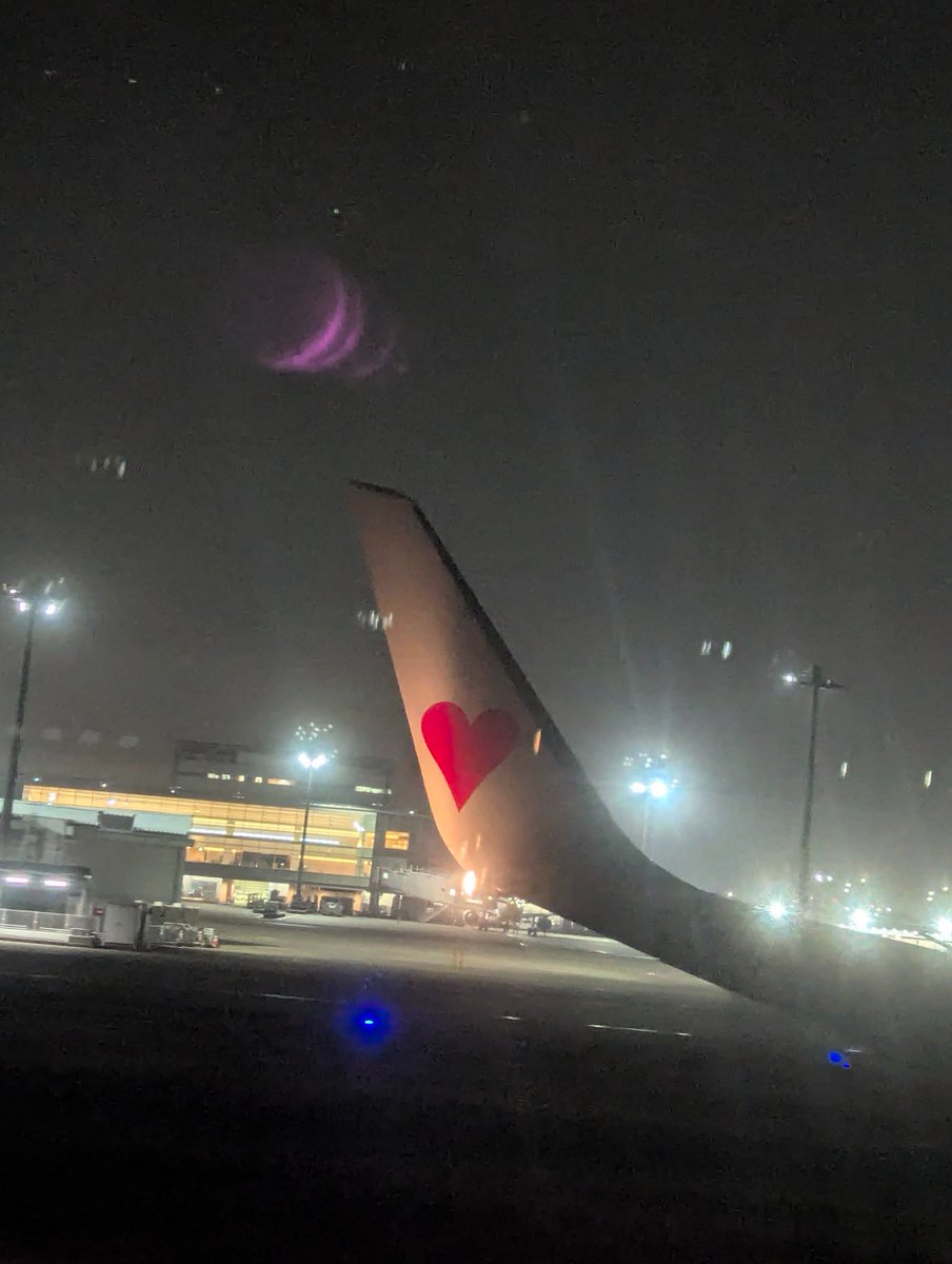 でじこが東京に来たにょ