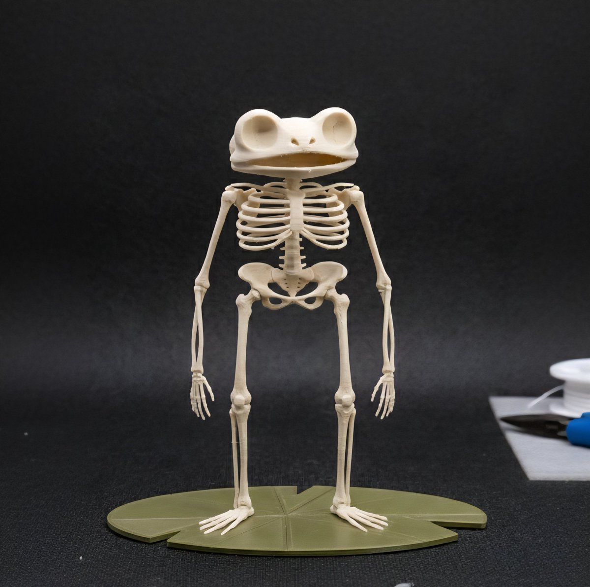 RandomWorkx's tweet image. Gm legends 

I asked myself last night Wut &apos;Fwog to my Bwones&apos; looked like and, well...What do you think 🤔