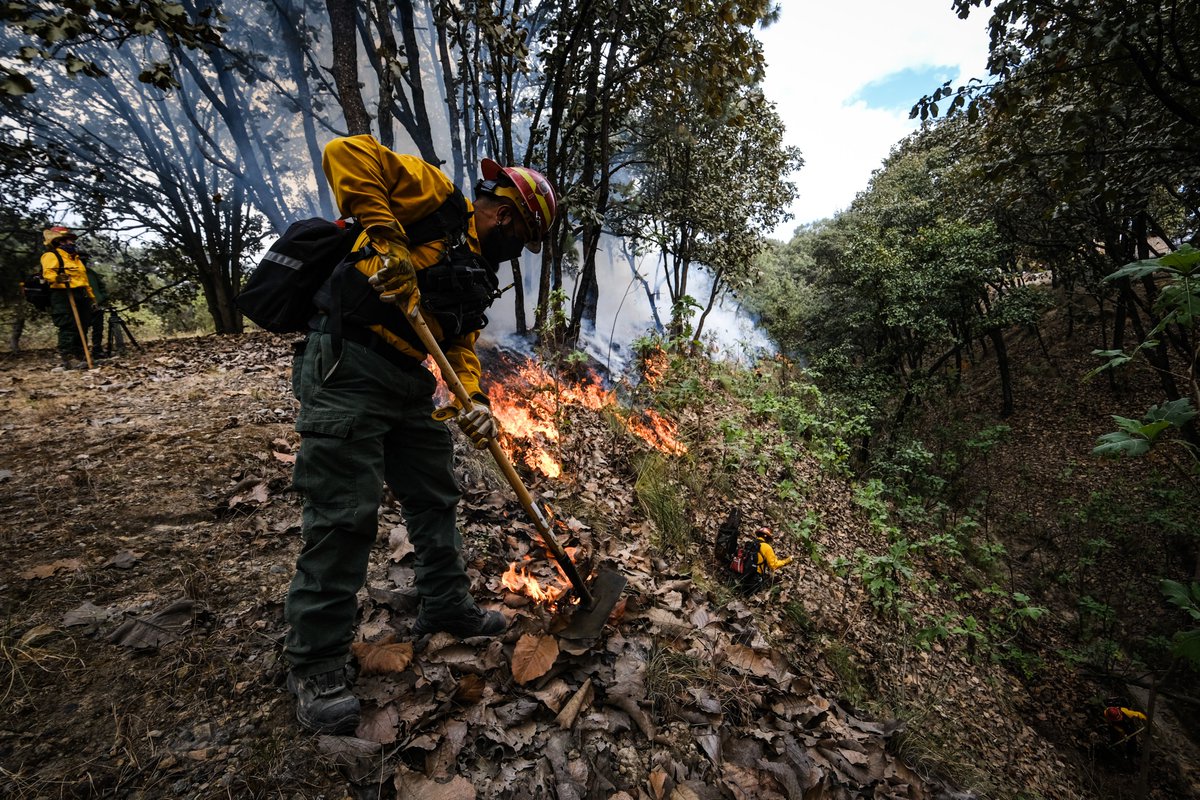 Inician trabajos de prevención de incendios en el Bosque La Primavera
horizontes365.com/single-post.ph…