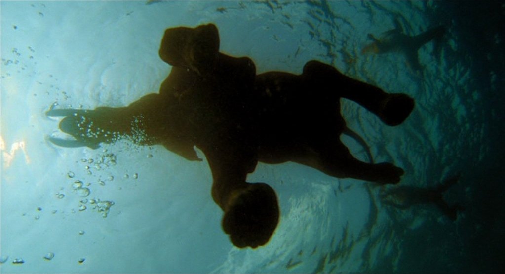 sereneObscurity's tweet image. strong contender for one of the best looking films ever made 

the fall (2006)