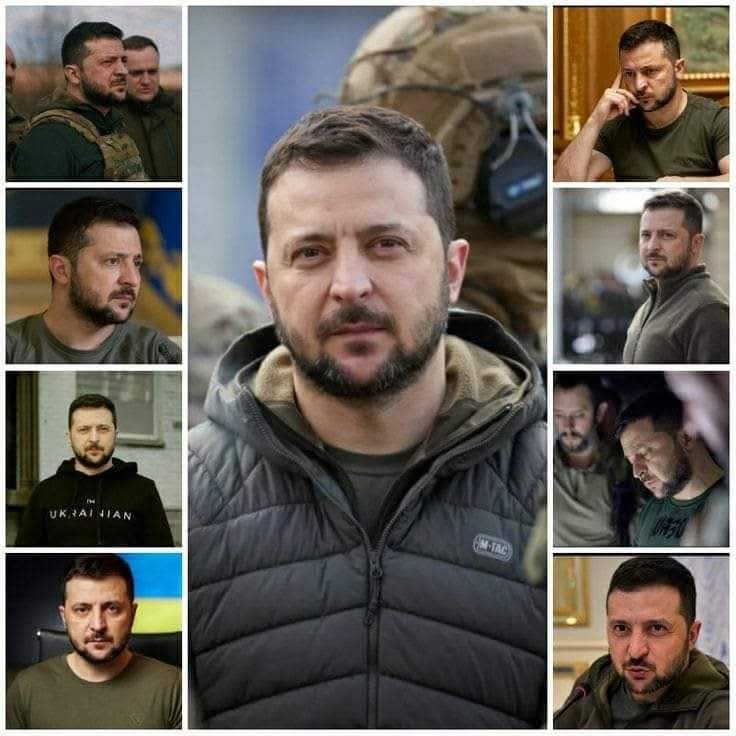 Olena Rohoza tweet media