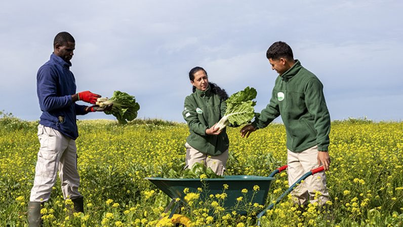 Bioalverde SL, empresa de inserción de #CáritasSevilla, cumple diez años y sigue sembrando esperanza. ¡Enhorabuena!

Nació en 2015, en #DosHermanas, con el objetivo de acompañar a personas en situación de vulnerabilidad para ayudarles a recuperar su autonomía a través del empleo