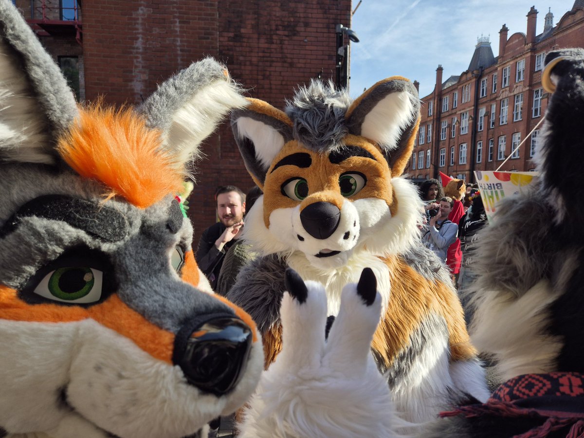 Jack Flag tweet media