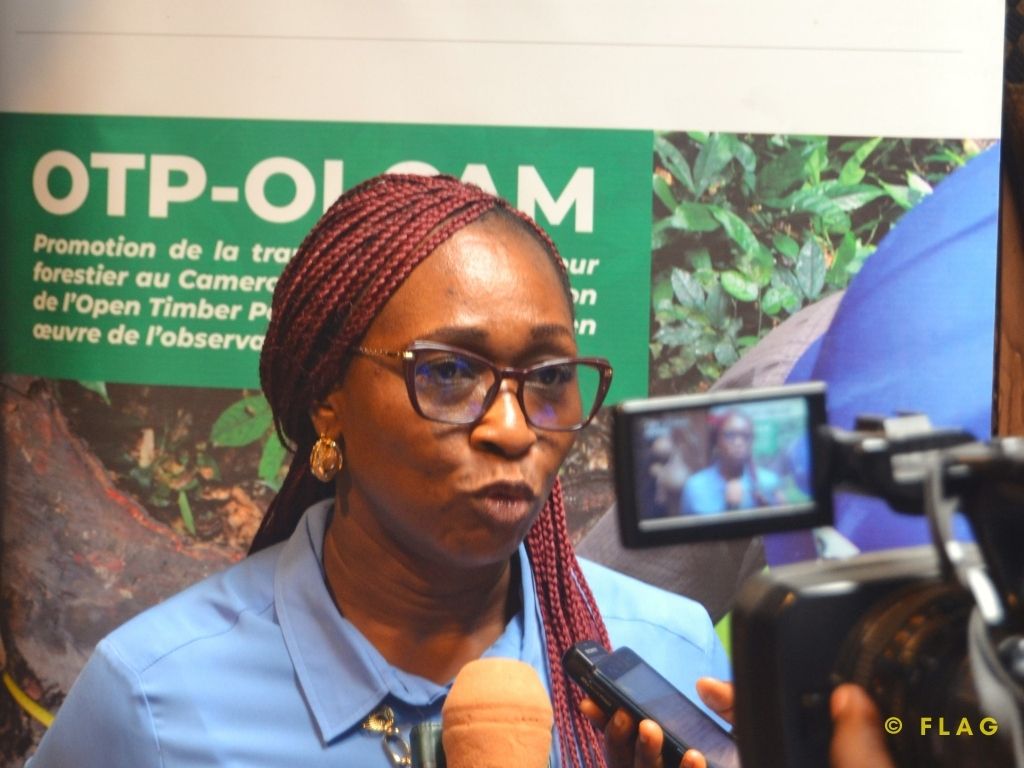 FlagCameroon's tweet image. Au #CaféScience du 26 nov., FLAG a présenté le bilan du projet OTP OI CAM, mis en œuvre pour renforcer la #LégalitéForestière et la transparence via l’Open Timber Portal. 
 #Foresterie #Traçabilité #Conservation #Cameroun #GouvernanceForestière
