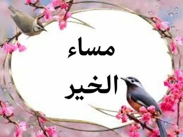 nooral5271's tweet photo. @eitLotus @AH_IRQA @h_Musawi_93 @we8ew @ipkdd @VMUwfrjLOa6zba5 @nwr36951953 @AoF44iraq @amer123576 لابأس ياحبيبتي عطر اللوتس هذه هي الحياة تقلبنا وتغلبنا وناخذ نصيبنا من العسر  وتهزنا الخيبات من الاقربين وننفض غبارهم وننهض من جديد https://t.co/4vL979GJw4