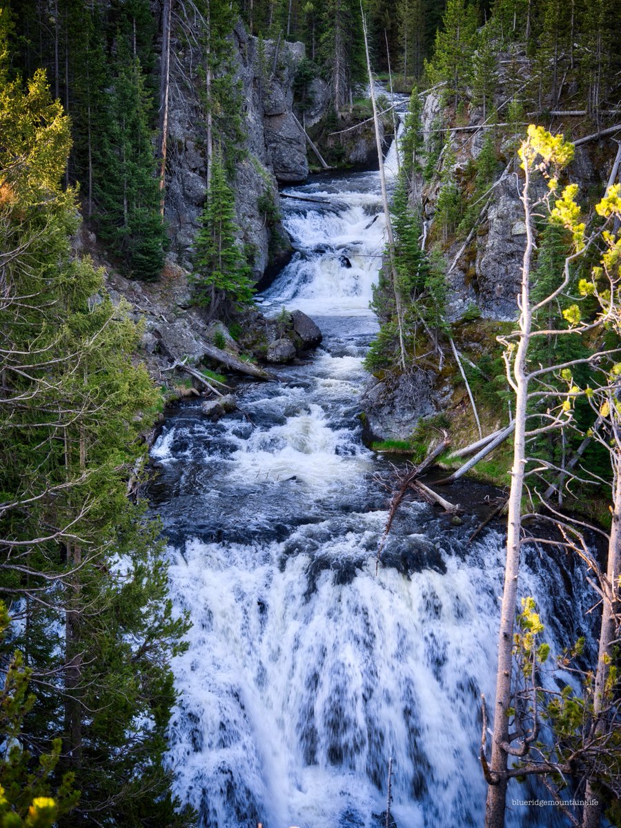 blueridgemountain_man tweet media