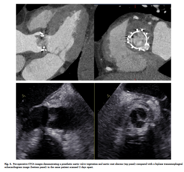 David Warriner tweet media