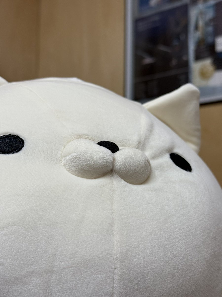 久しぶりに新しい そのだーず をお迎えしました🐱 もちもちしてて