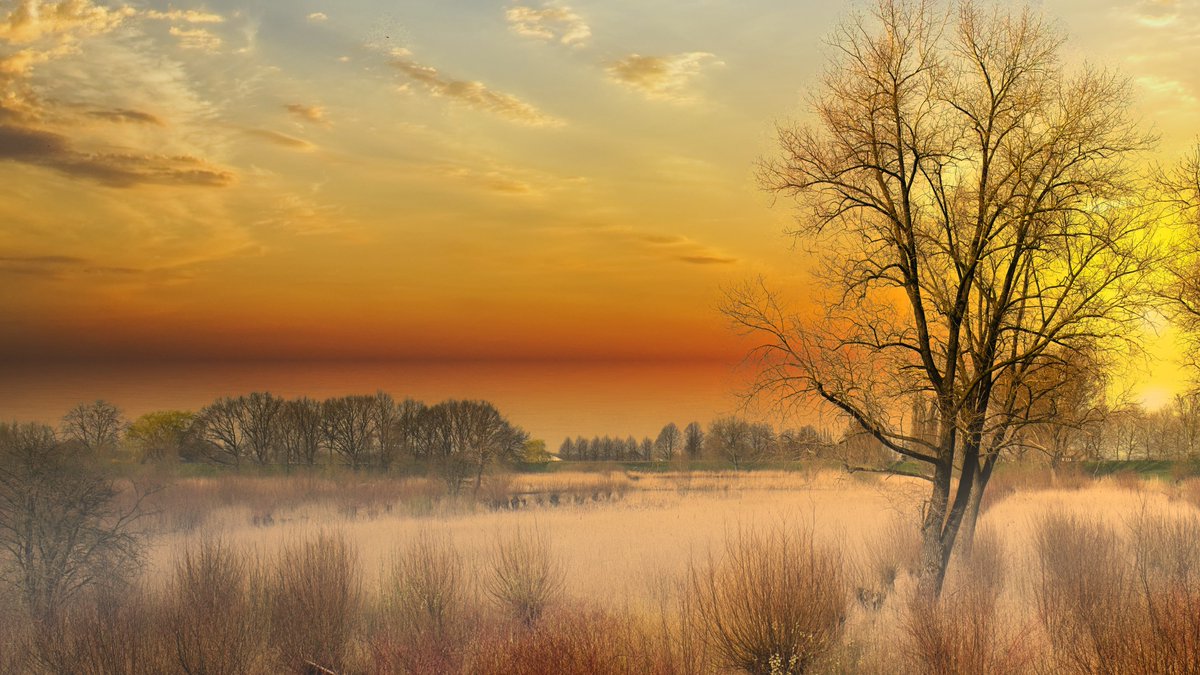 Z6Focus's tweet image. #Foto_Adventskalender picfee.com/nl/fotograaf/Z…