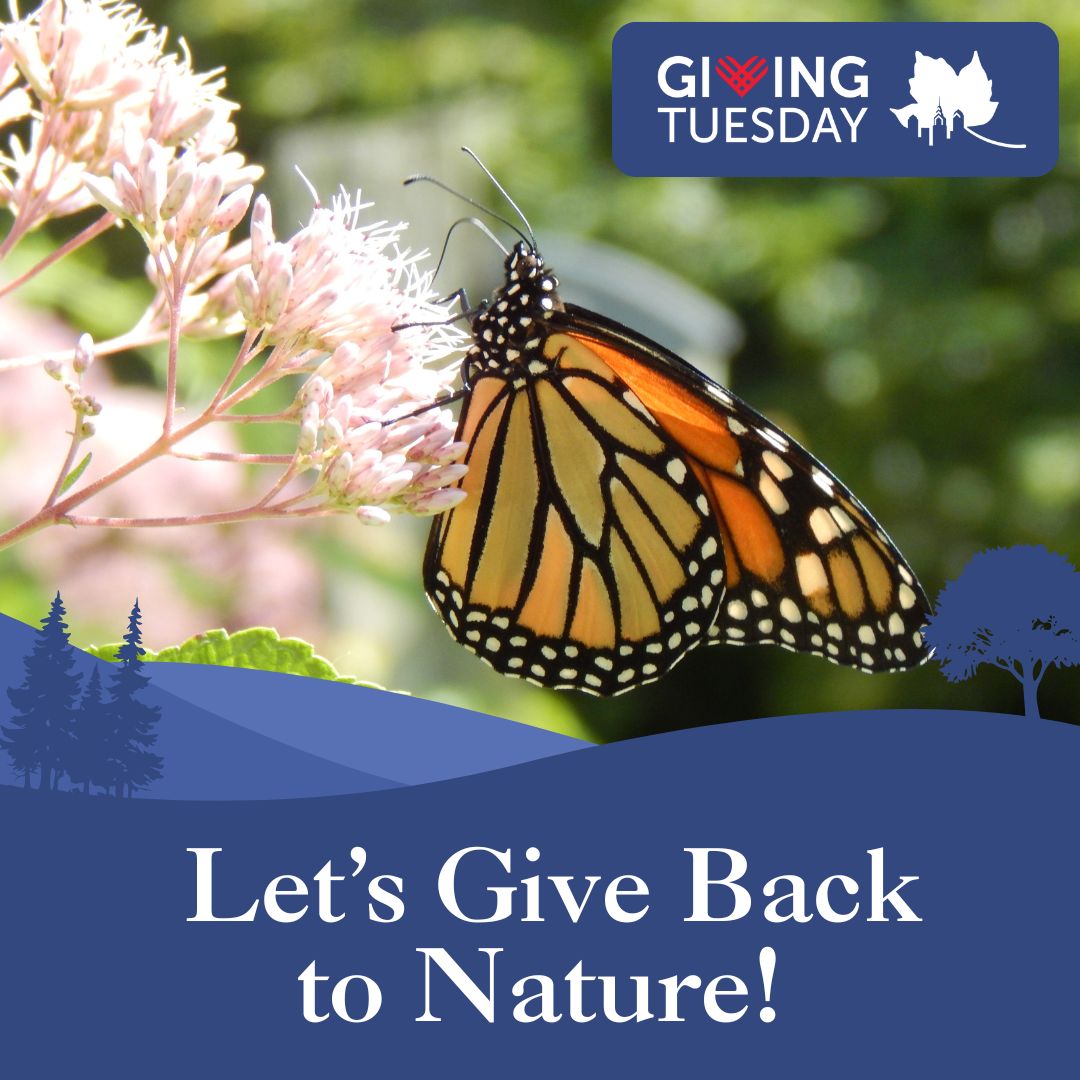 #GivingTuesday is here! 

🌍 On this global day of giving, we need local changemakers like YOU to help us reach our goal of raising $20,000. Become an environmental champion today: schuylkillcenter.org/giving-tuesday/

#GivingTuesday2025