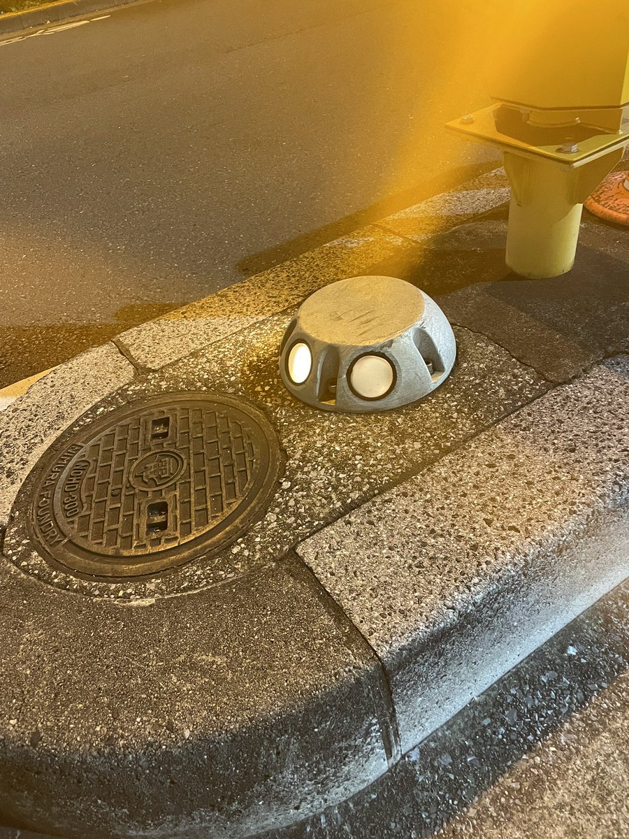 地面に埋まってるロボットみたいでかわいいね！