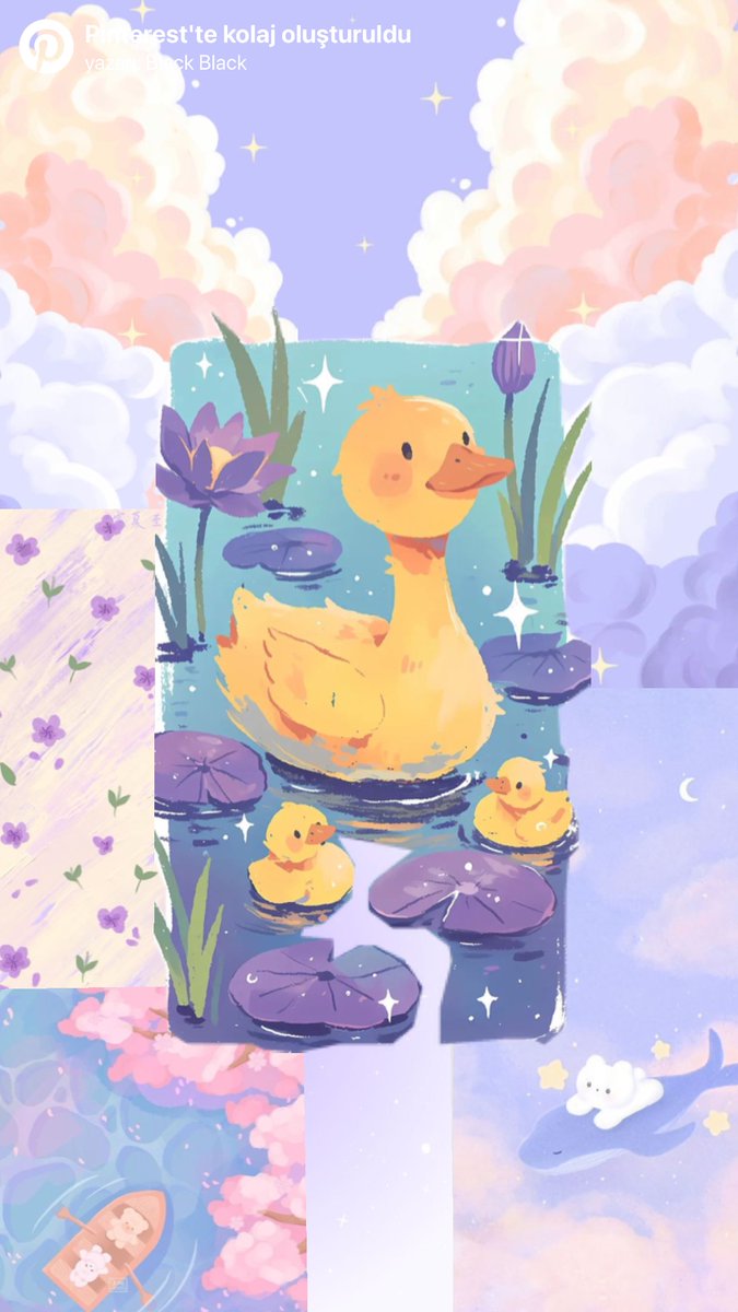 only cute things (@cutedreamvibes) on Twitter photo 