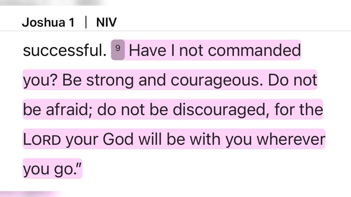 Holy__Bible1's tweet image. 