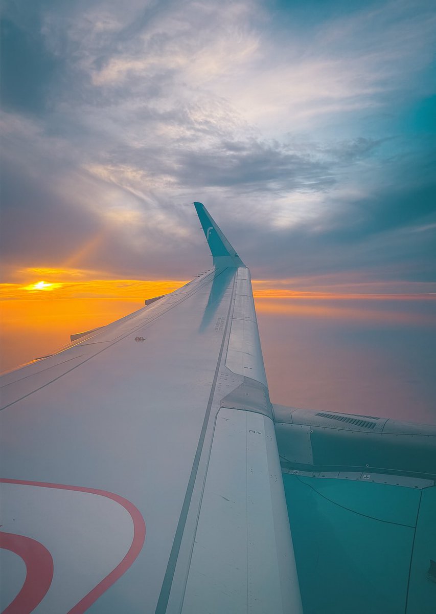 Vow_95's tweet photo. @flynascare https://t.co/qlnra2Okjs