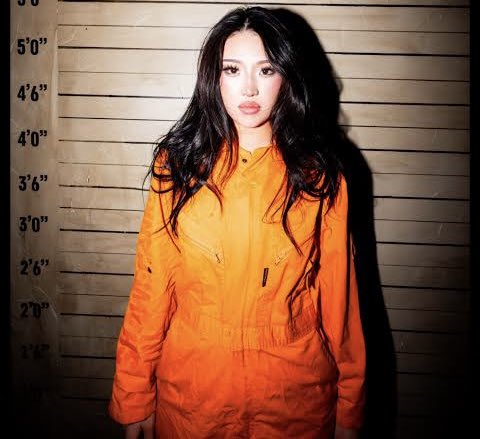 Awk20000's tweet image. Nina Lin banned on Twitch