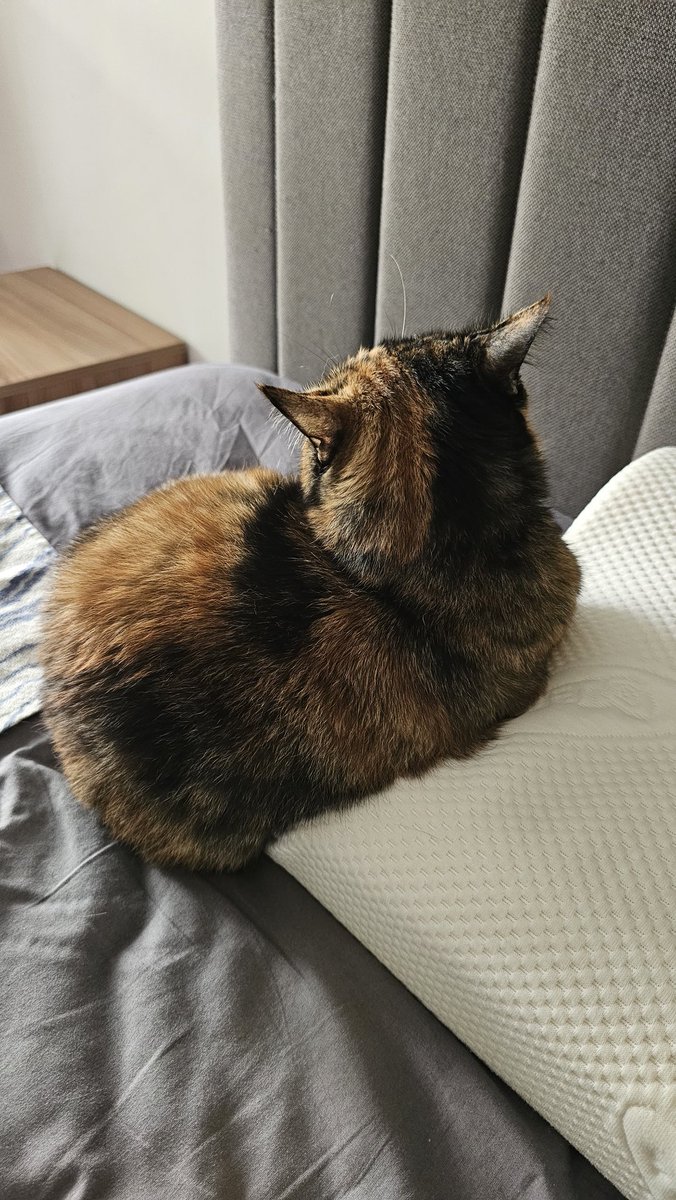 sertackes's tweet image. #türknet ten sonra ucuz olsun diye #millenicom #netspeed #migrosnet #ttnet #netgsm aldım hepsi leş

Bölgenizde en iyi hangisiyse onu seçin
Bu kodla #turknet e abone ol  ilk ay bedava

QJT40UO74BCA
TTI96MV12PAD

#superonline #vodafonenet #fibimnet  #gibirnet  #dsmartnet