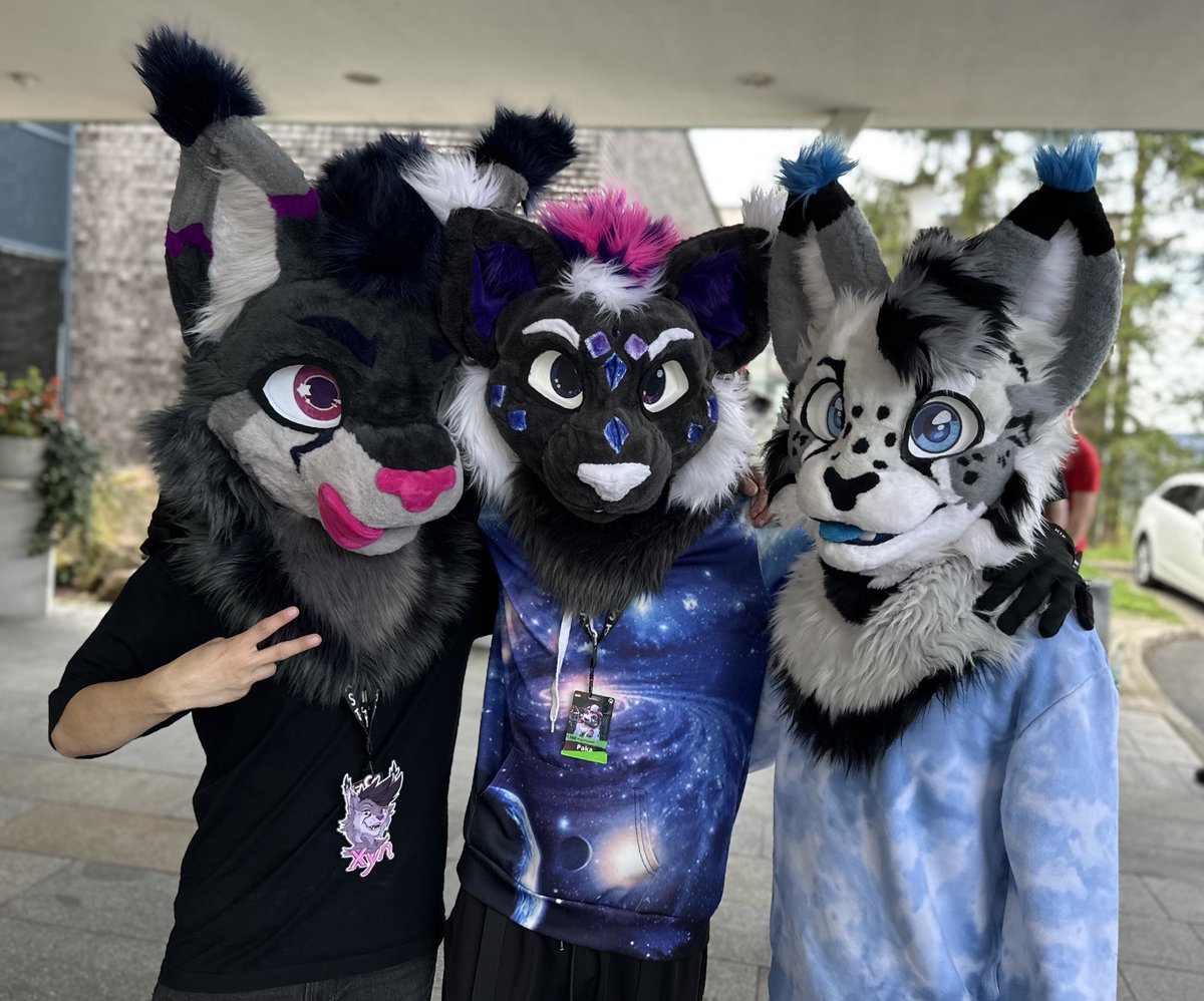 more Lynxes for your timeline!

⬅️: Xyn (couldn’t find the @)
⬇️: Comet (me)
➡️: <a href="/StriveLynx/">Strivey</a>