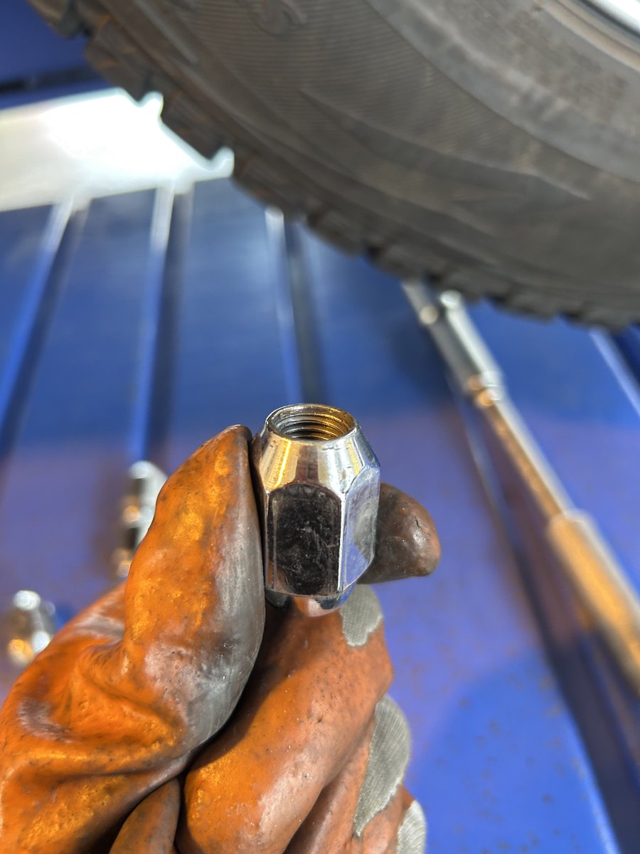 ODYSSEYFZGSDDJFLX10CW ゴリラになります ODYSSEYFZGSDDJFLX10CW