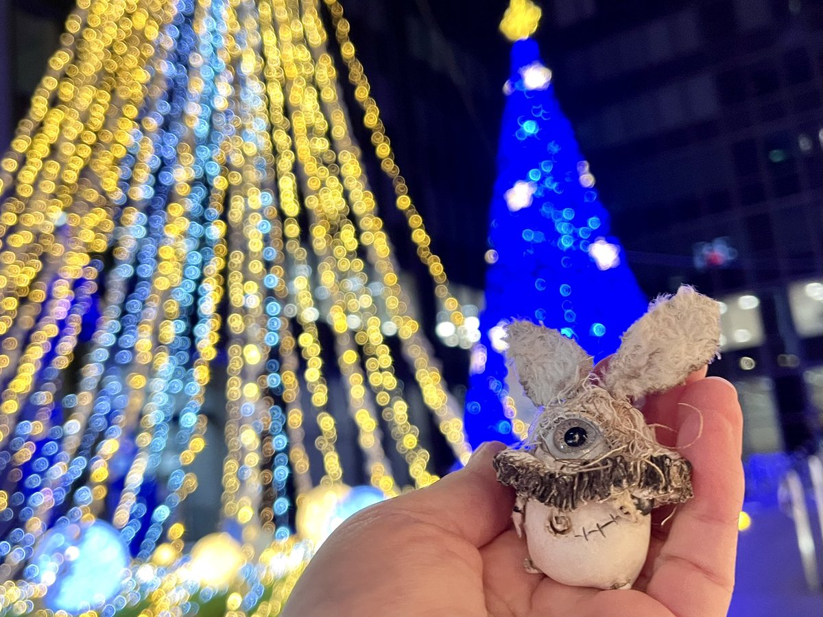 昨日うっかり上げるのを失念してたけど、2025年ラストの #単眼の日 だったので！！

もうすぐクリスマスだね🎵🎵

#単眼うさぎ