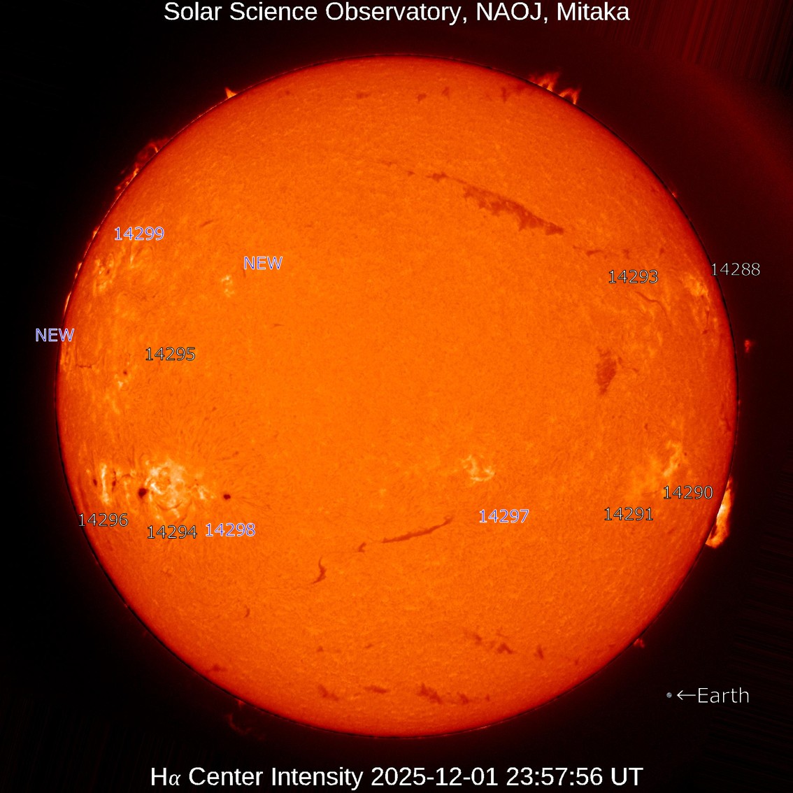 NAO　確認画像 本日の太陽】2025-12-02のHα線全面像 比較的静穏な状態です。 活動領域