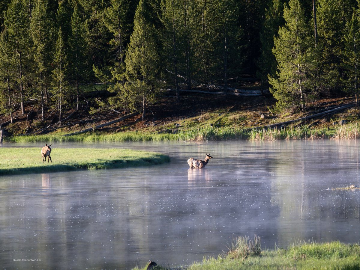 blueridgemountain_man tweet media