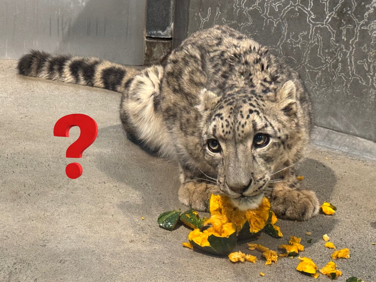 ユキノ (@yukino_lr) / Posts / X