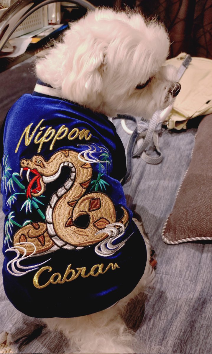 にこまる (@6yQgZFNMNk76215) / Posts / X