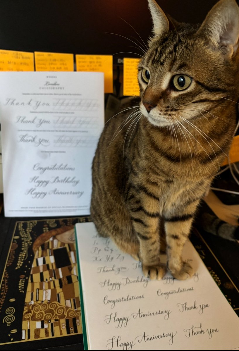 rie_bdt98's tweet photo. 🐈🖋️♡ https://t.co/Na9fnHbfLg