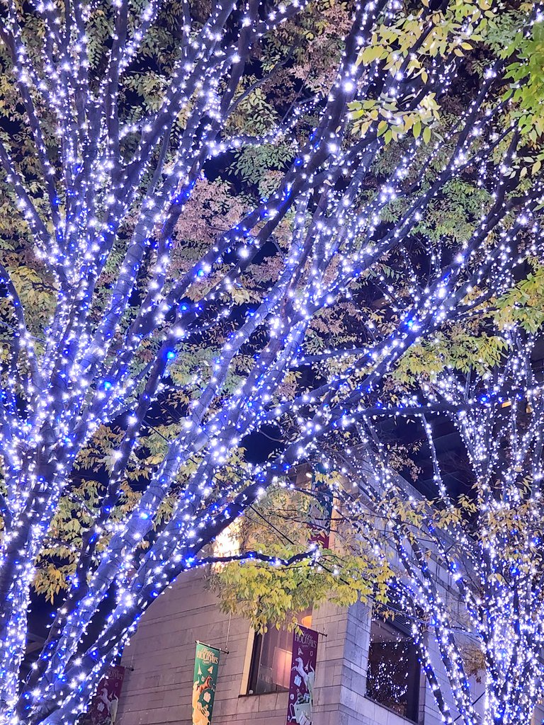 usamimi (@yukiusa83868676) / Posts / X