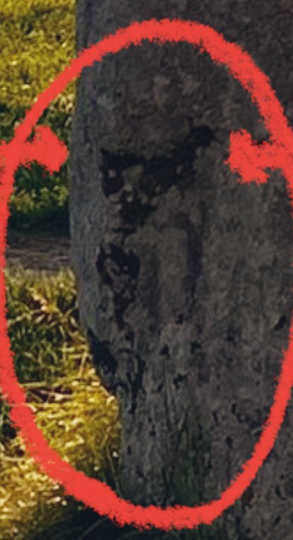 BCEsupernova's tweet image. Here is my predictive model holding a smaller predictive model
Like a child