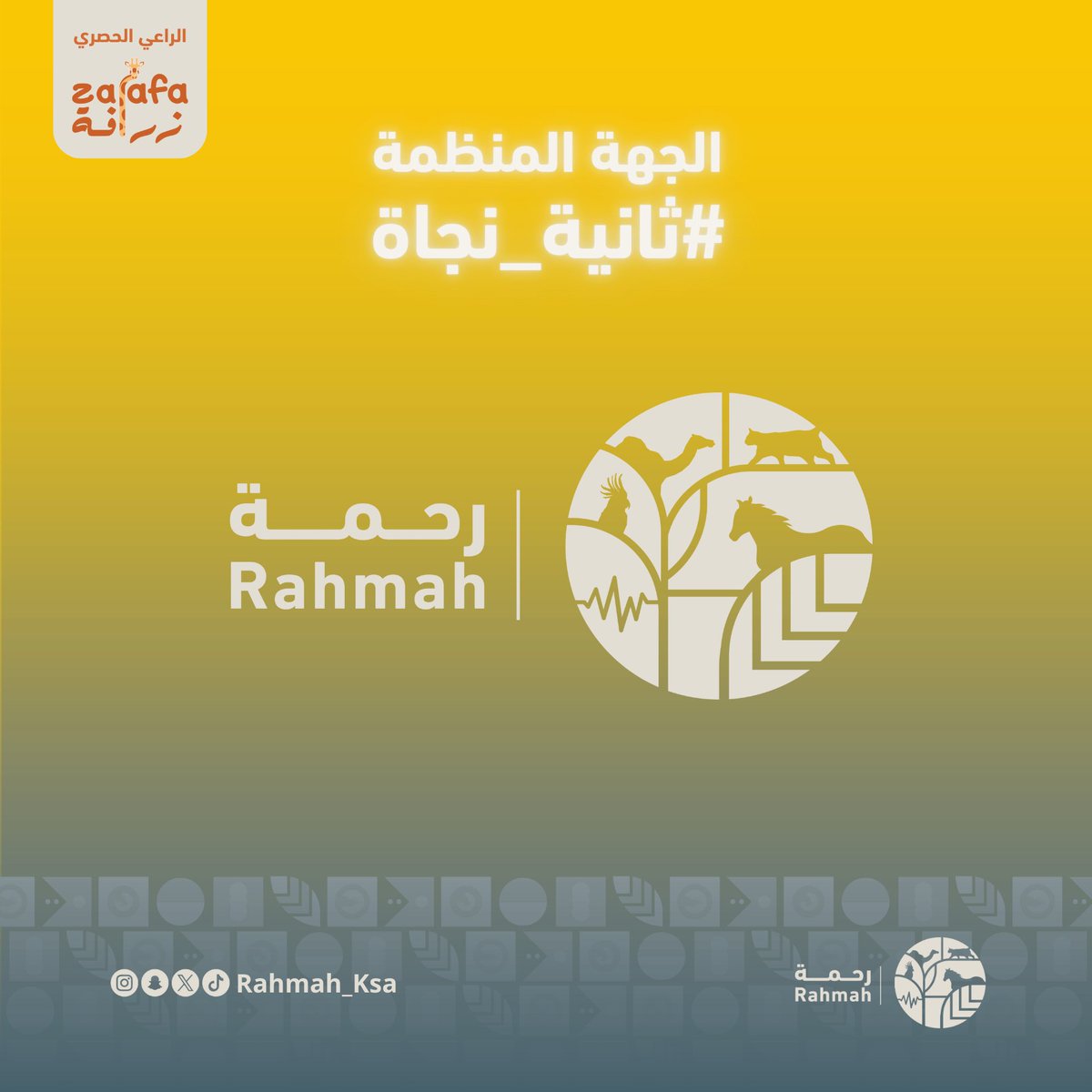 #ثانية_نجاة 🐾