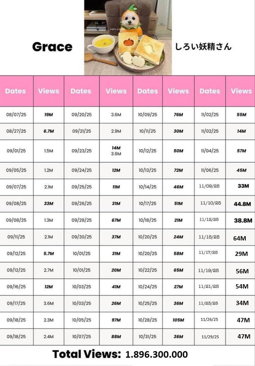 fexir1's tweet image. Loaded a bag into $GRACE . The most viral dog on X right now. $GRACE racking up 1.9B views on X in the span of 7-8 weeks. Each new post is getting tens of millions of views in a single day. No dog is more viral on X right now.

I&apos;ve never seen a dog go as viral as $GRACE. I…