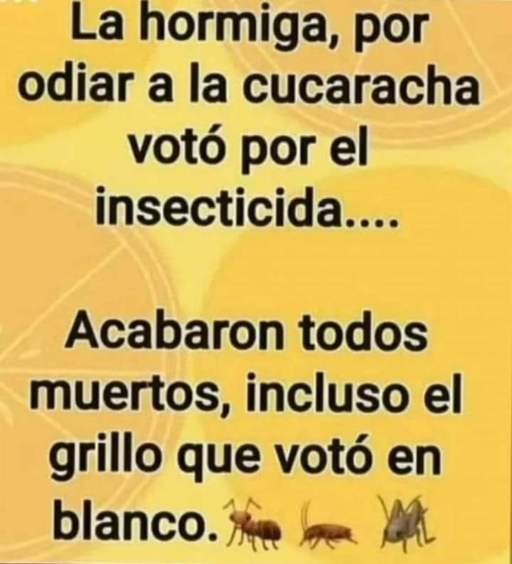 Manola Araya (@arayamanola) on Twitter photo 