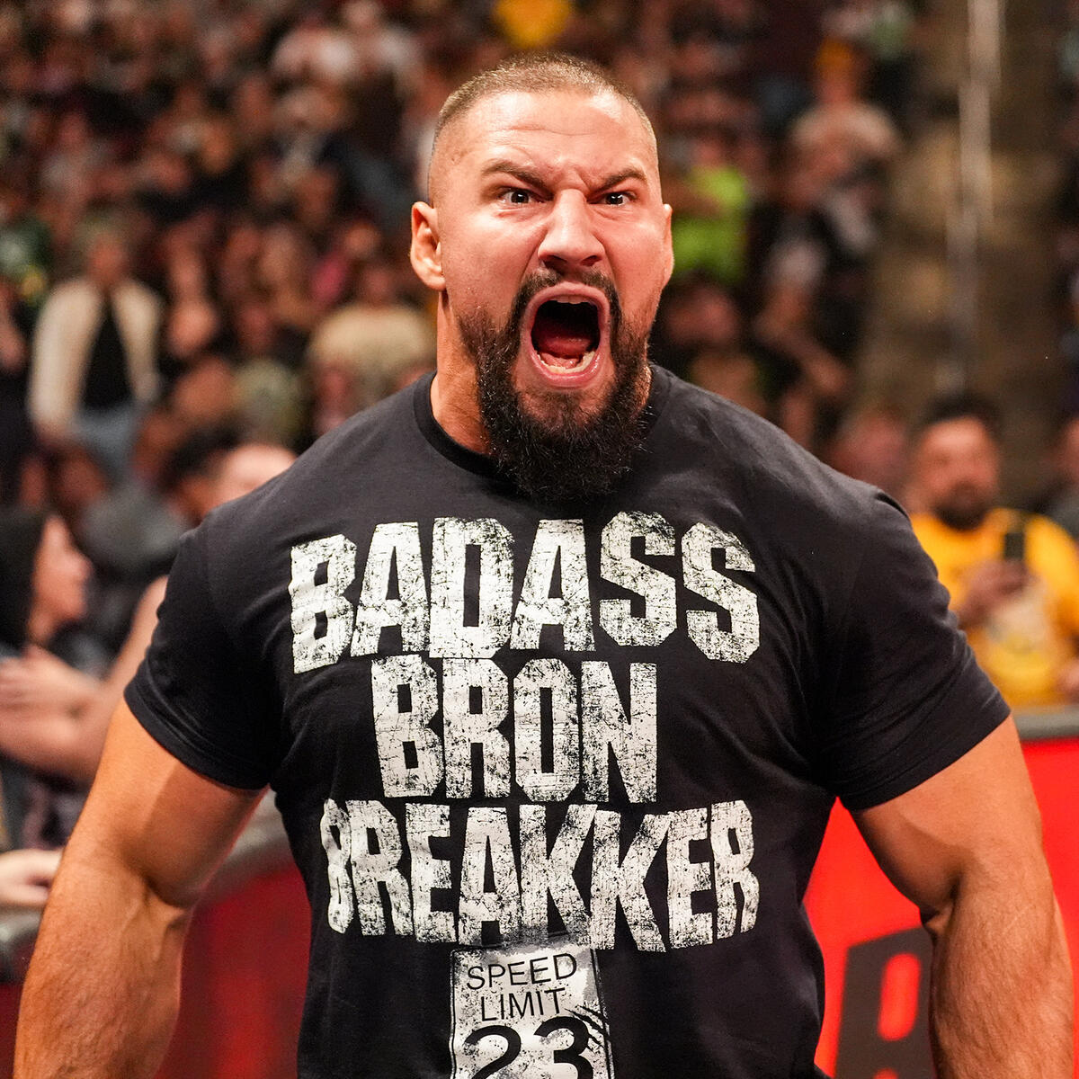 Wrestle Features tweet media