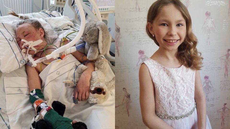 Clauwild1's tweet image. Em 7 de julho de 2022, em Morö Backe, (norte da Suécia), a menina sueca Luna, de 9 anos, voltava da escola de bicicleta quando foi arrastada para uma área de floresta por Abushi Shamse Kamal, um estuprador etíope de 15 anos (imigrante na Suécia desde 2017, com histórico anterior…