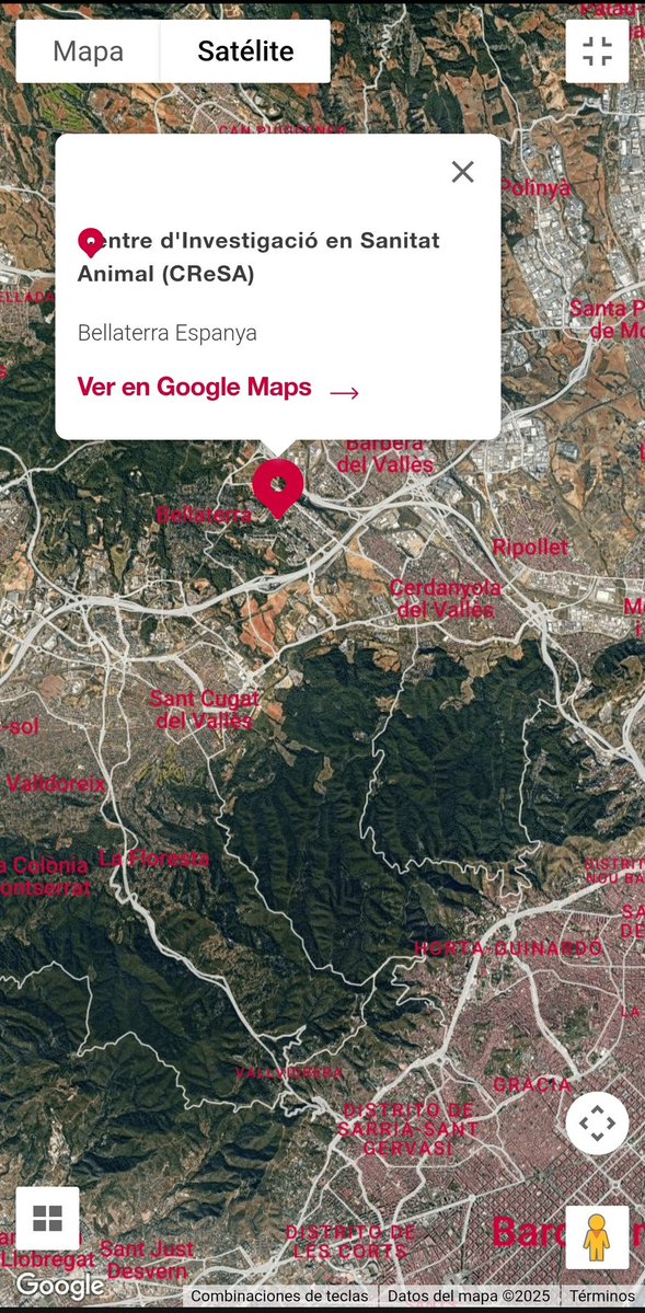 verdadsmolestas's tweet image. Un biolaboratorio de investigación donde se estudiaba la peste porcina africana se ubica a muy poca distancia de donde se inició el primer brote de peste porcina africana en Cataluña