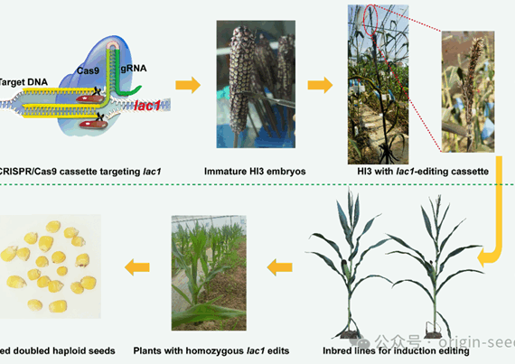 Origin Agritech Ltd. tweet media