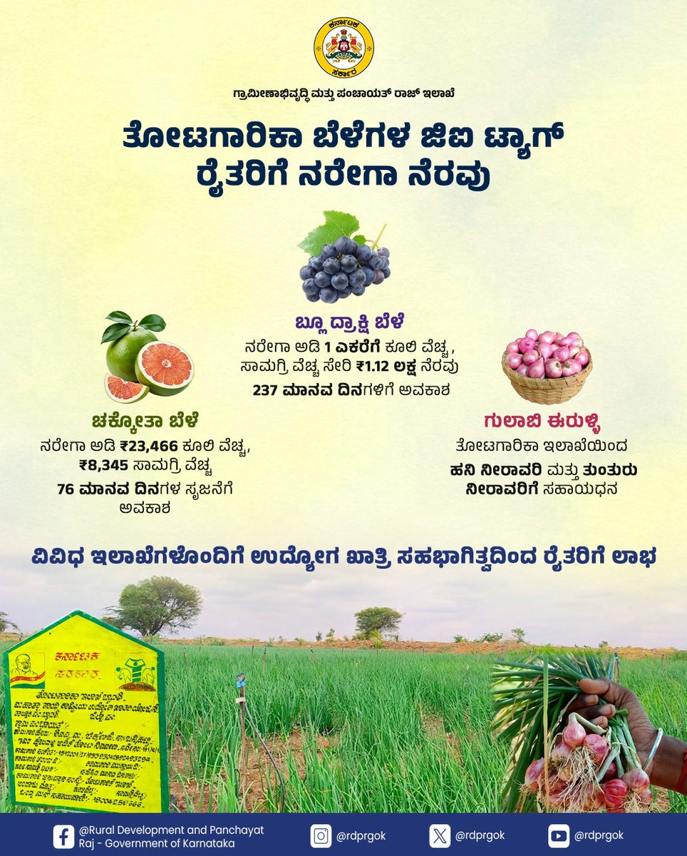 rdprgok's tweet image. ಚಿಕ್ಕಬಳ್ಳಾಪುರ ಜಿಲ್ಲೆಯಲ್ಲಿ ತೋಟಗಾರಿಕಾ ಇಲಾಖೆಯು ಉದ್ಯೋಗ ಖಾತ್ರಿ ಯೋಜನೆಯನ್ನು ಬಳಸಿಕೊಂಡು ಜಿಐ ಉತ್ಪನ್ನಗಳಿಗೆ ಉತ್ತೇಜನ ನೀಡುತ್ತಿದೆ. ರೈತರಿಗೆ ಕೂಲಿ ವೆಚ್ಚ, ಸಾಮಗ್ರಿ ವೆಚ್ಚದ ಜೊತೆ, ಮಾನವ ದಿನಗಳ ನೆರವನ್ನೂ ಒದಗಿಸುತ್ತಿದೆ.

#RDPR #ruraldevelopment 
@PriyankKharge @MgnregsK